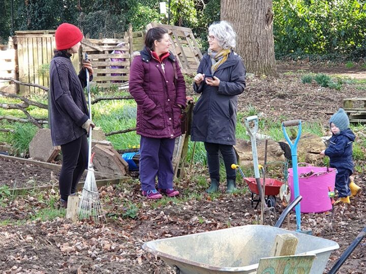 church lane allotment activities