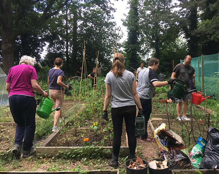 get involved volunteers allotment