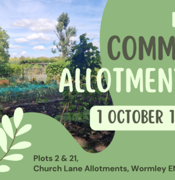 Community Allotment Open Day